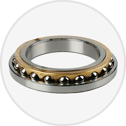 Four Point Contact Bearings