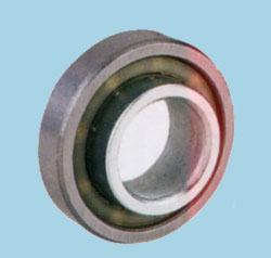 Special Purpose Bearings