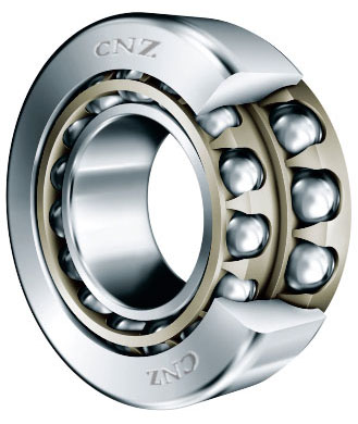 Stainless Steel Bearings