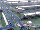 Food Processing machines